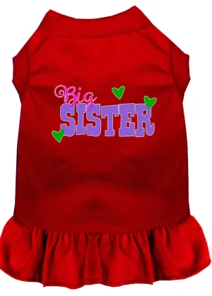 Big Sister Screen Print Dog Dress Red 4x