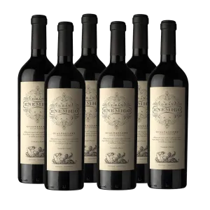 Gran Enemigo Gualtallary Cabernet Franc Vintage 2019 750 ml (box of 6 bottles)