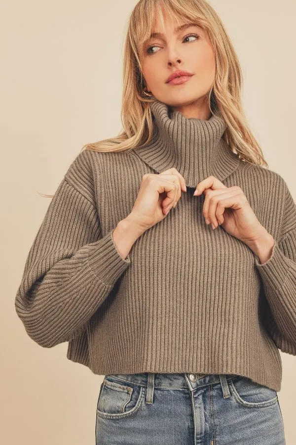 Pewter Chunky Ribbed Knit Cropped Turtleneck Sweater Top