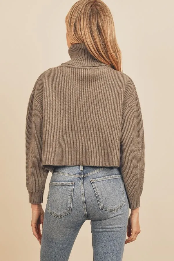 Pewter Chunky Ribbed Knit Cropped Turtleneck Sweater Top