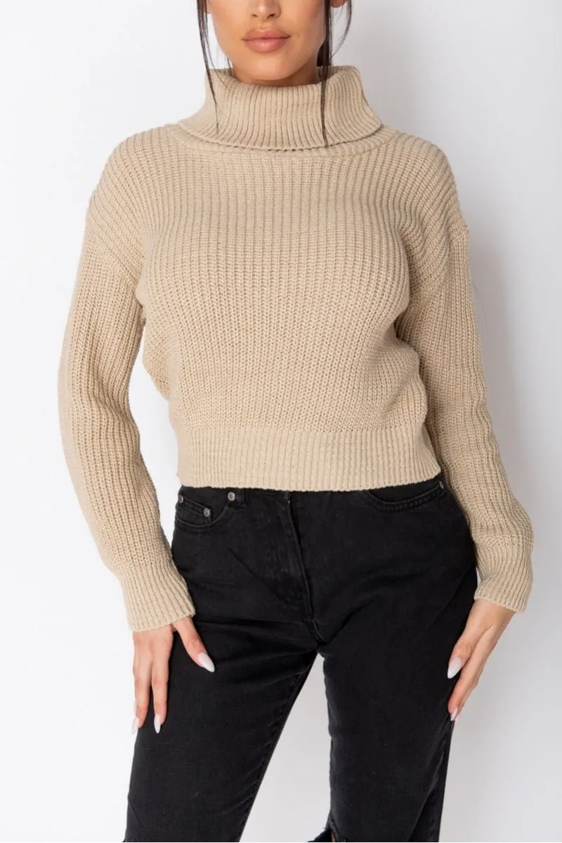 Turtleneck Beige Rib Knit Jumper