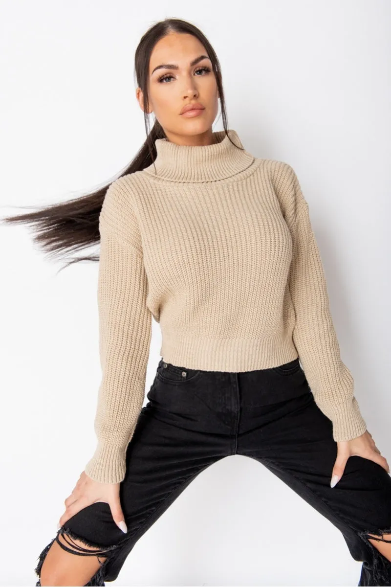 Turtleneck Beige Rib Knit Jumper