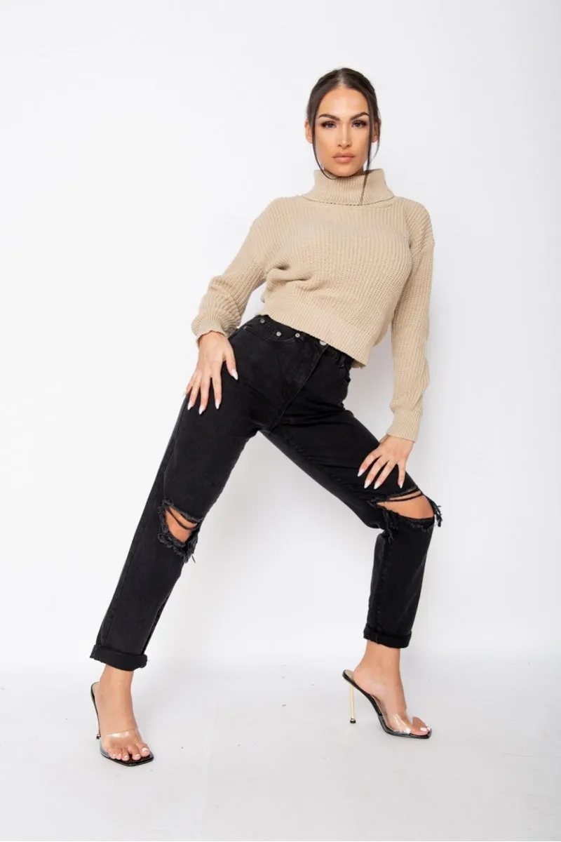 Turtleneck Beige Rib Knit Jumper