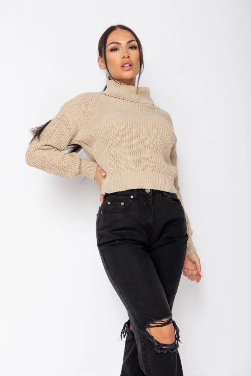 Turtleneck Beige Rib Knit Jumper