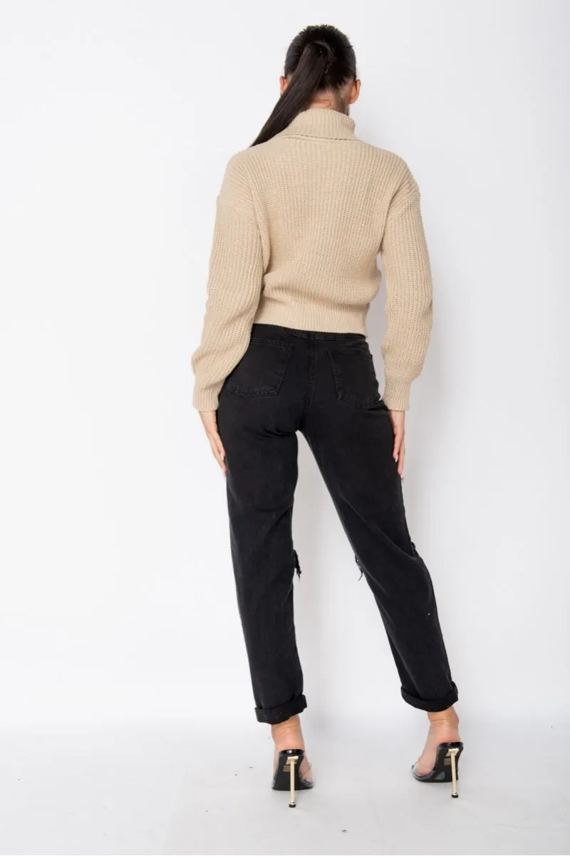 Turtleneck Beige Rib Knit Jumper